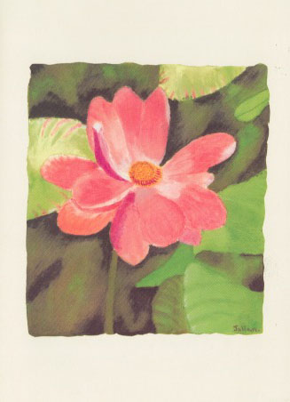 5o